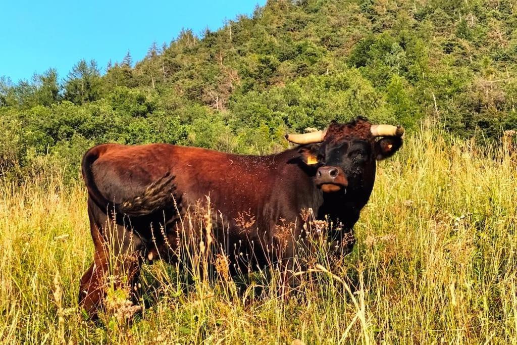 Appartamento Di Montagna Lo Grop Chambave Ngoại thất bức ảnh